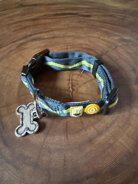 Horizon Dog Collar
