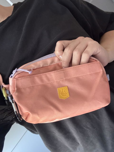 Alpha 360 Hip Pack Salmon Pink