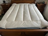 Dr Anne Dickens review photo