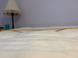 Pam review photo