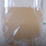 S. review photo