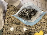 C. review photo