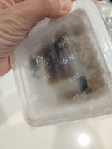 S.L. review photo