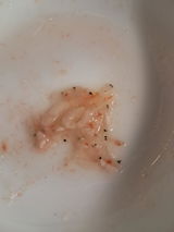 S. review photo