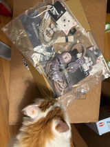 Sookiesookie review photo