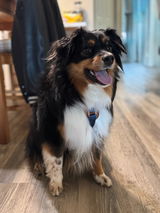 Mocha review photo