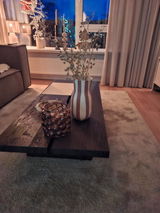 Tien Ploeg review photo