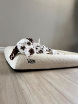 The.spotted.dogs review photo