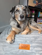 Amber review photo