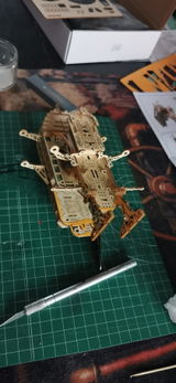 Y.M. review photo