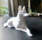 Andrea review photo