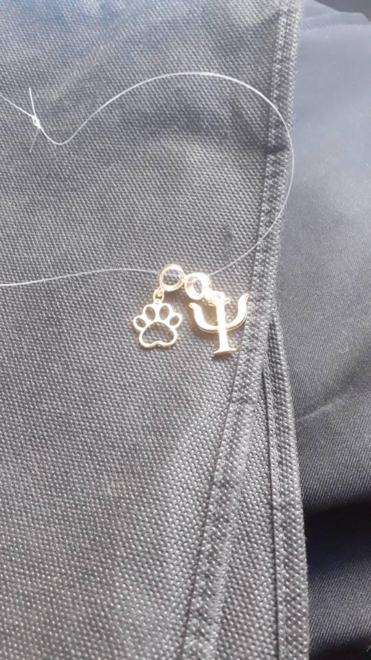 luizfd11 review photo