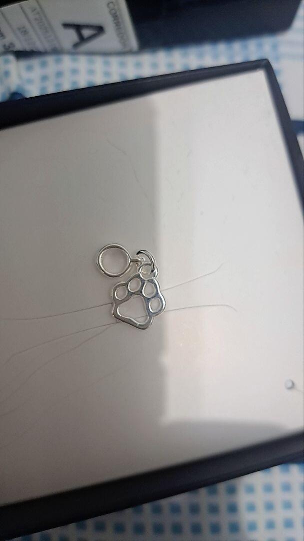 deiacfnds review photo