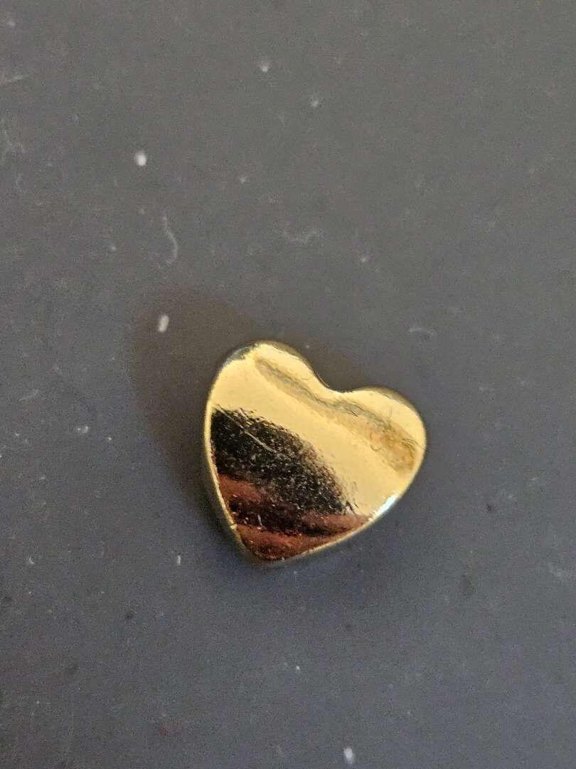 paulananda review photo