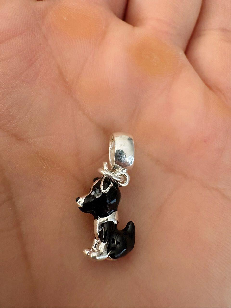 crisorgal review photo