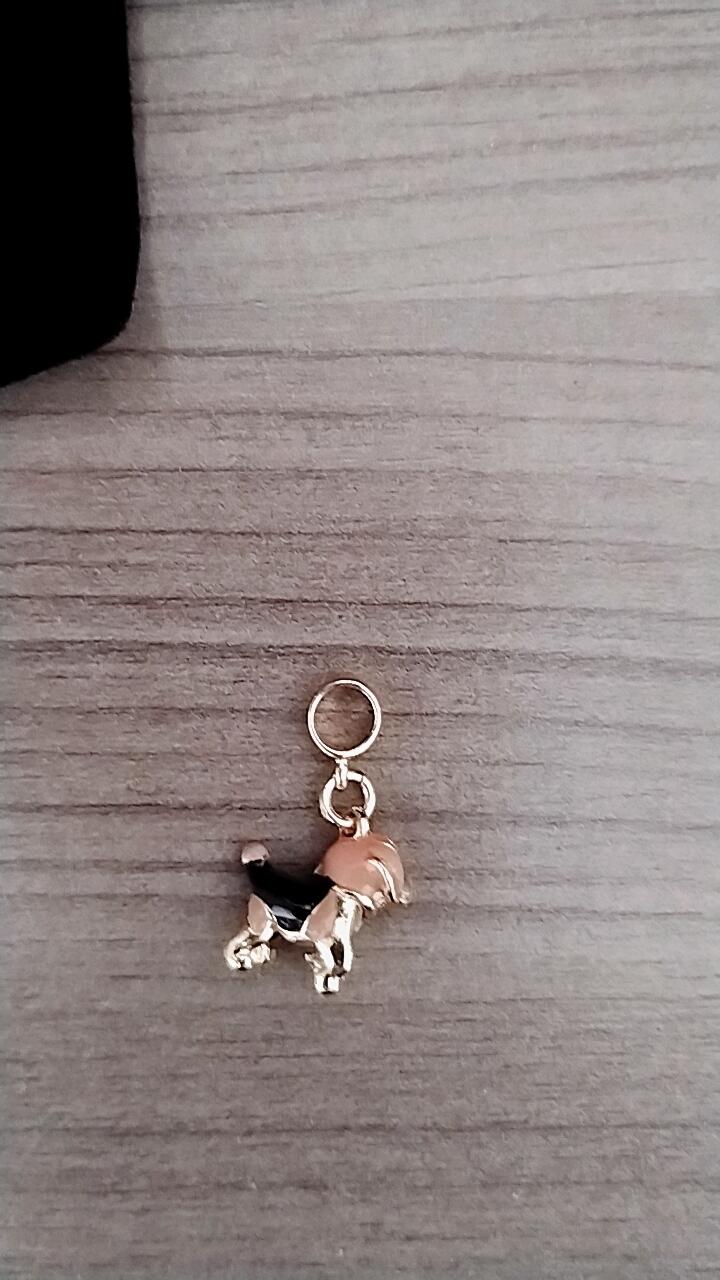 c*****2 review photo