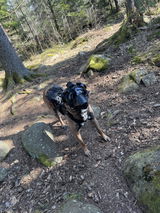 Anders Melen review photo