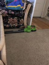 Lilylangtree review photo