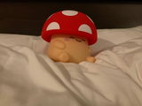 Ari review photo