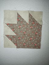 curtis cotts review photo