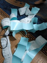 Zul review photo