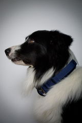 Filou review photo