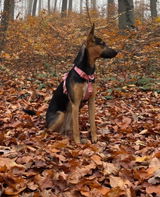 Sandra review photo