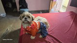 Prashanth M review photo