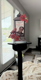 Renee Vandall review photo