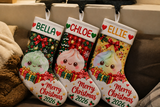Mason Lee review photo