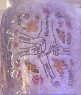 Victoria Akoda review photo