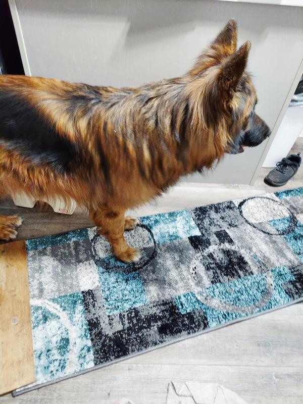 Tanochan review photo