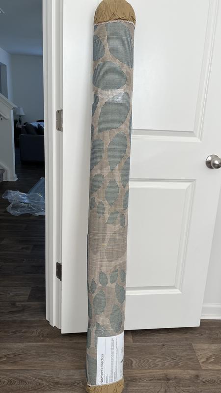 WKinCLT review photo