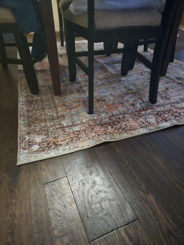 danaraer review photo