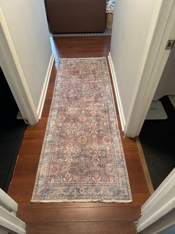 tessb2 review photo