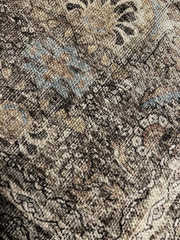 santynea review photo