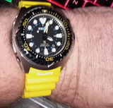 Richard Barber review photo