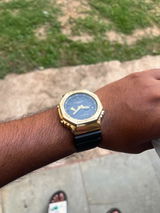 Bishal Thakur review photo
