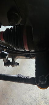 A M review photo
