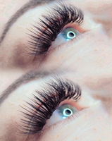 Ivona Veic review photo
