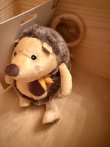 Vesna B. review photo