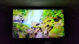 Mda review photo