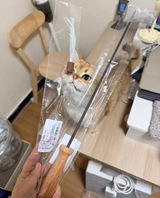 木村 結衣 review photo