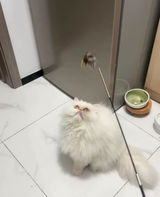 加藤 美穂 review photo