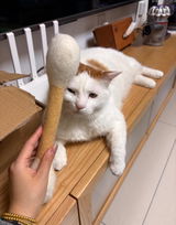田中 彩花 review photo
