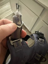 Ryan review photo