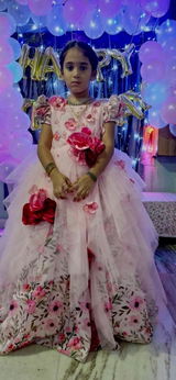 Lavanya review photo