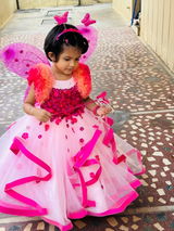 Vidhya Nikhil review photo