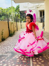 Vidhya Nikhil review photo