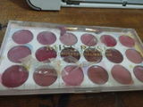 Sehar L. review photo